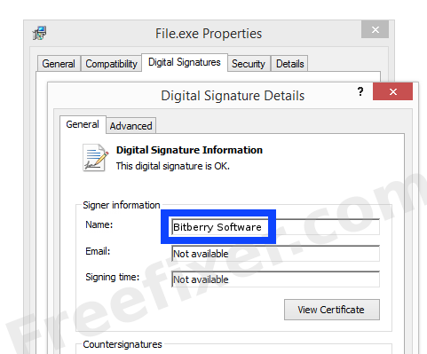 Screenshot of the Bitberry Software certificate